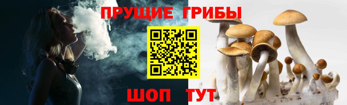 Галлюциногенные грибы мухоморы  Боровичи 