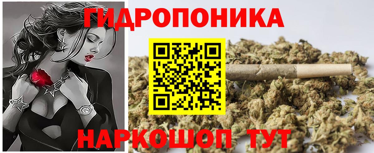 Шишки марихуана сатива Боровичи